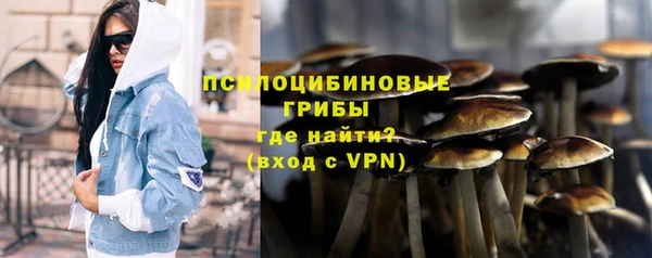 ПСИЛОЦИБИНОВЫЕ ГРИБЫ Алзамай