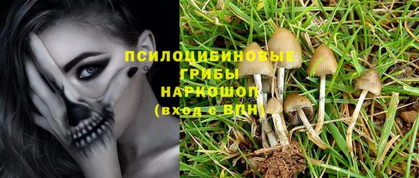 ПСИЛОЦИБИНОВЫЕ ГРИБЫ Алзамай
