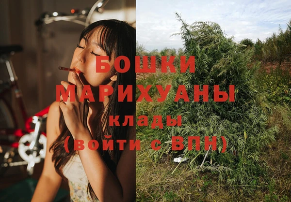 ПСИЛОЦИБИНОВЫЕ ГРИБЫ Абдулино