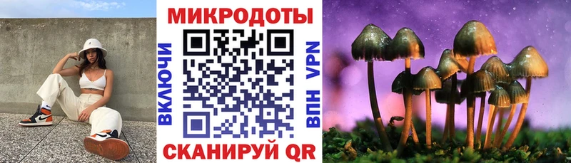 Псилоцибиновые грибы Psilocybine cubensis  закладка  Донской 